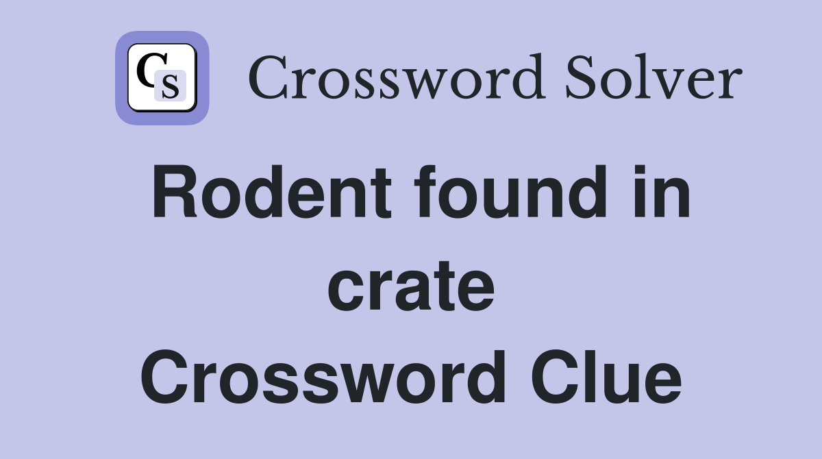 Rodent found in crate Crossword Clue