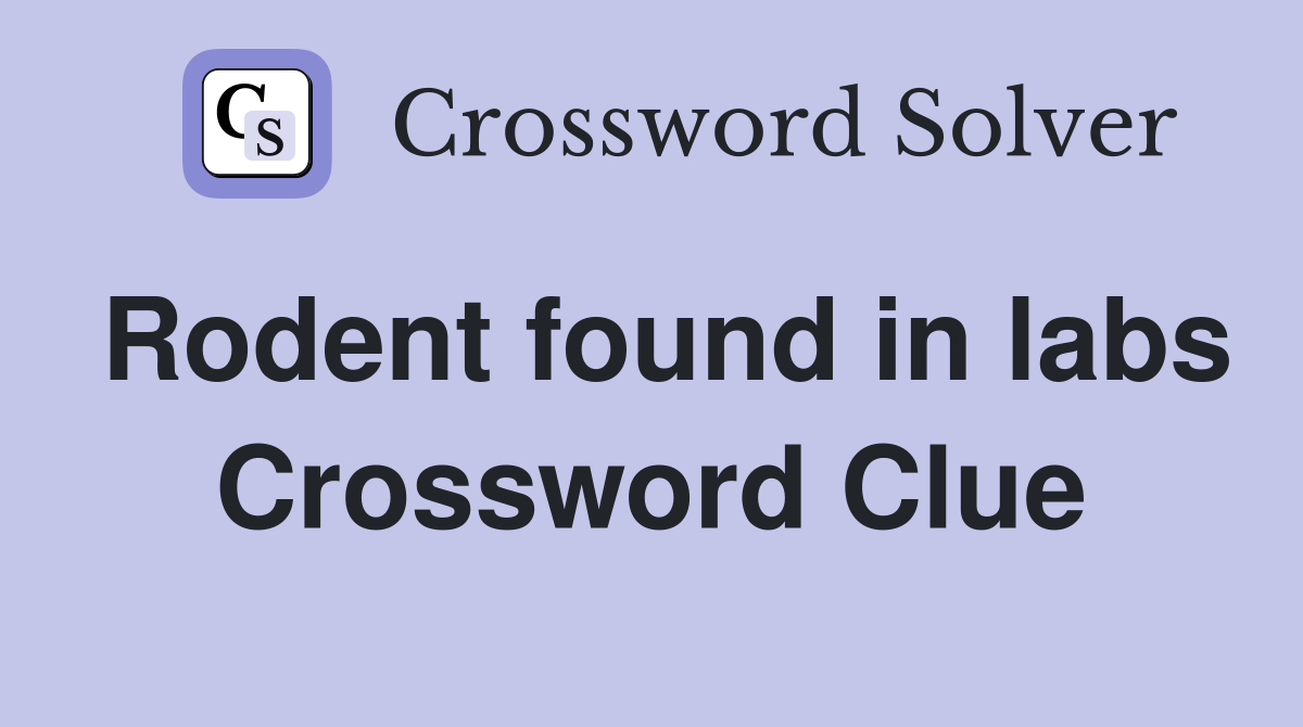 Rodent found in labs Crossword Clue
