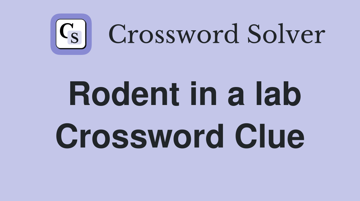 Rodent in a lab Crossword Clue