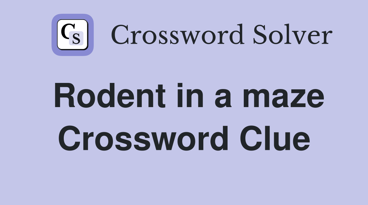 Rodent in a maze Crossword Clue