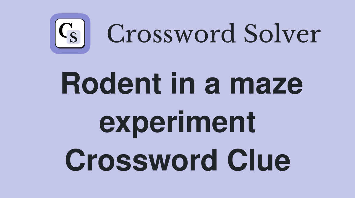 Rodent in a maze experiment Crossword Clue