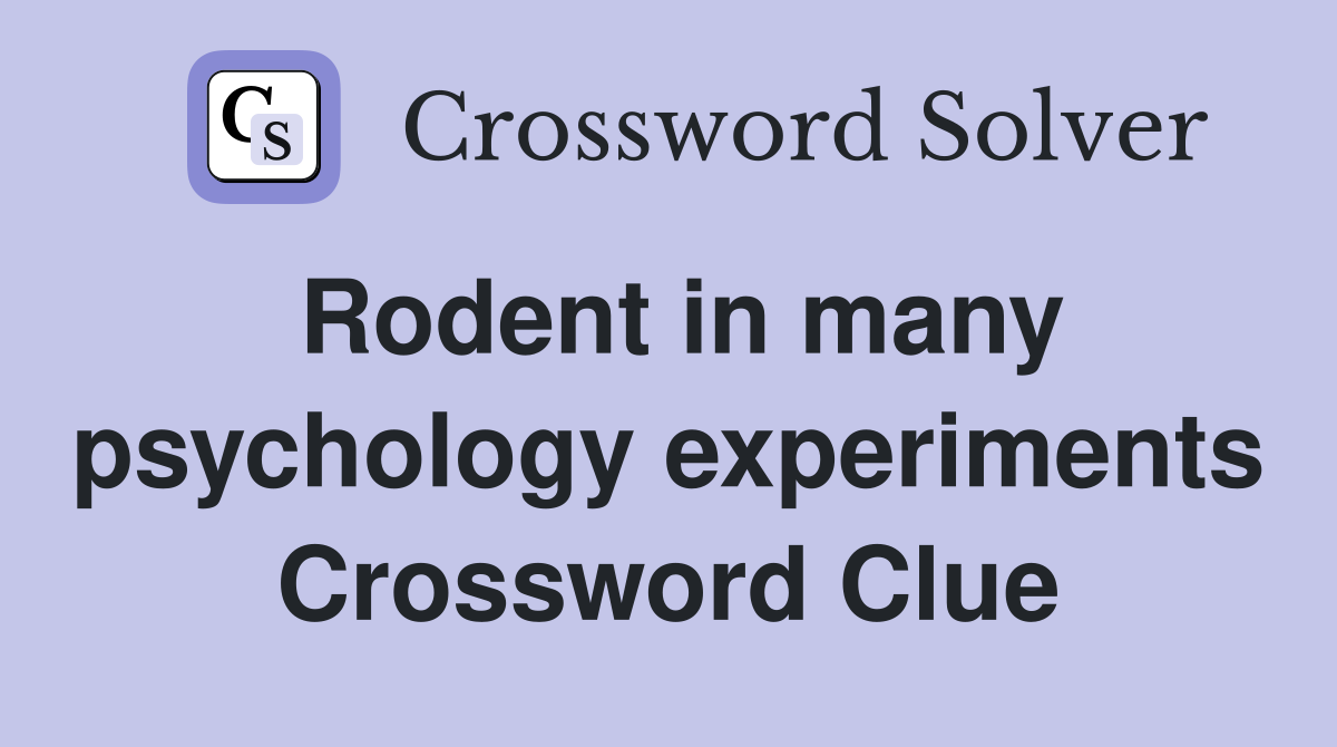 Rodent in many psychology experiments Crossword Clue