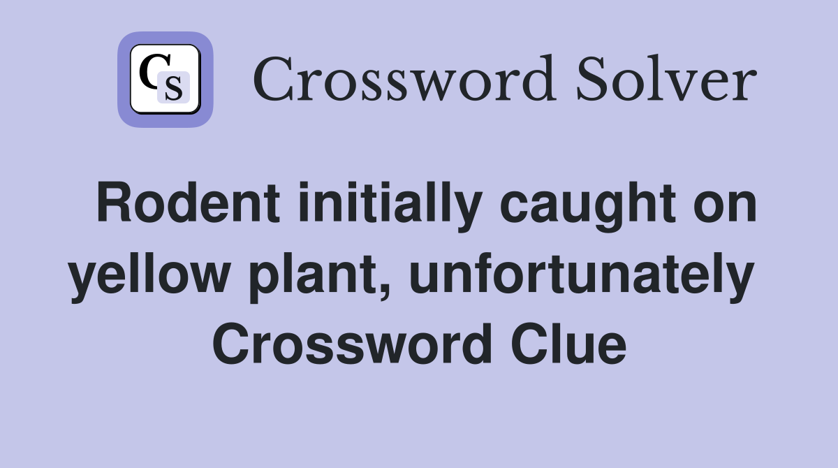 Rodent initially caught on yellow plant, unfortunately  Crossword Clue