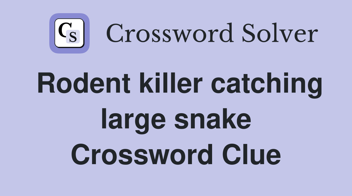 Rodent killer catching large snake Crossword Clue