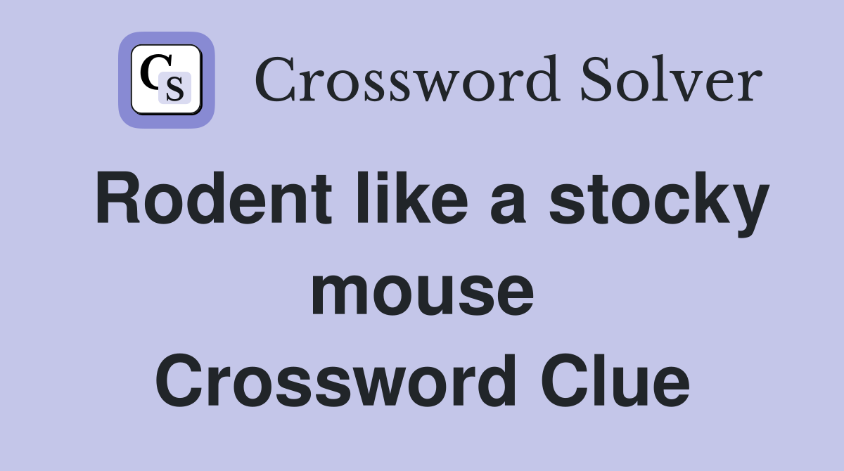 Rodent like a stocky mouse Crossword Clue