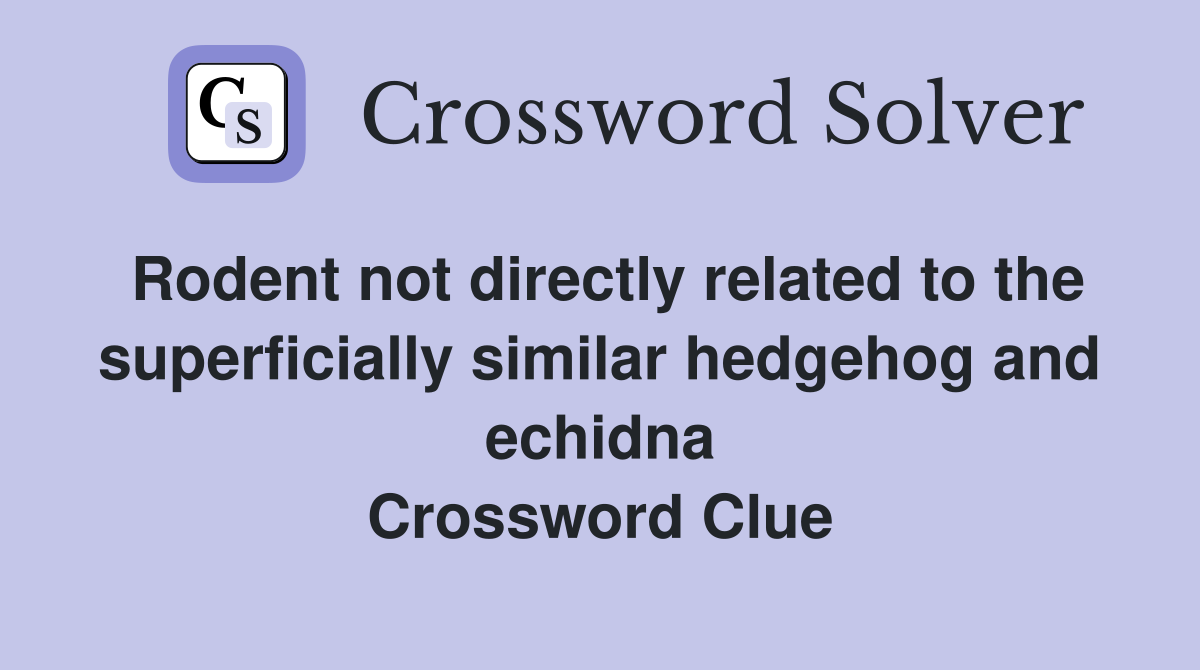Rodent not directly related to the superficially similar hedgehog and echidna Crossword Clue
