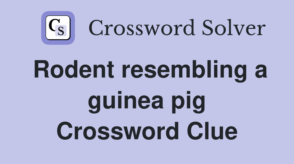 Rodent resembling a guinea pig Crossword Clue