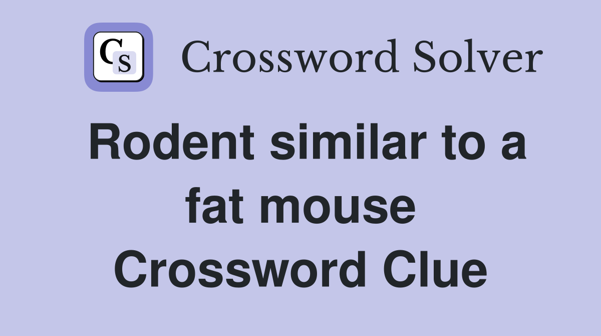 Rodent similar to a fat mouse Crossword Clue