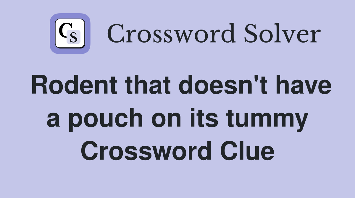 Rodent that doesn't have a pouch on its tummy Crossword Clue
