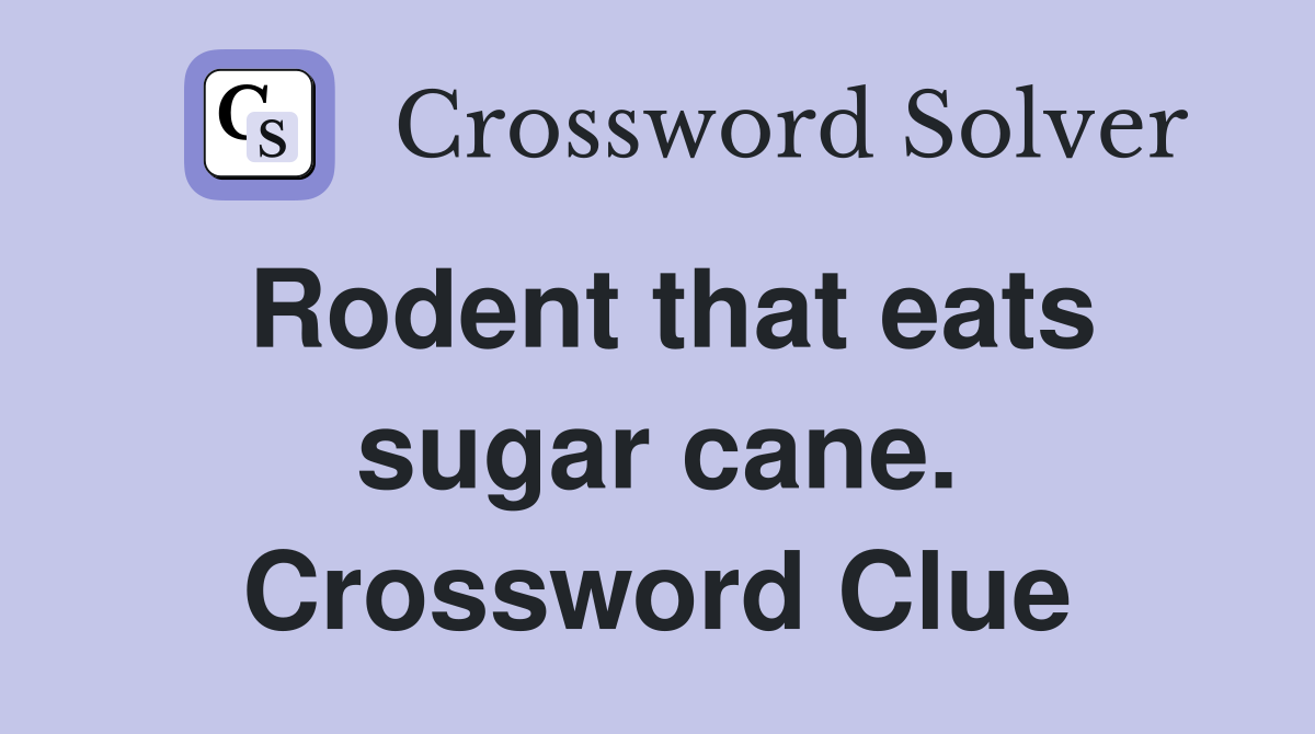 Rodent that eats sugar cane. Crossword Clue