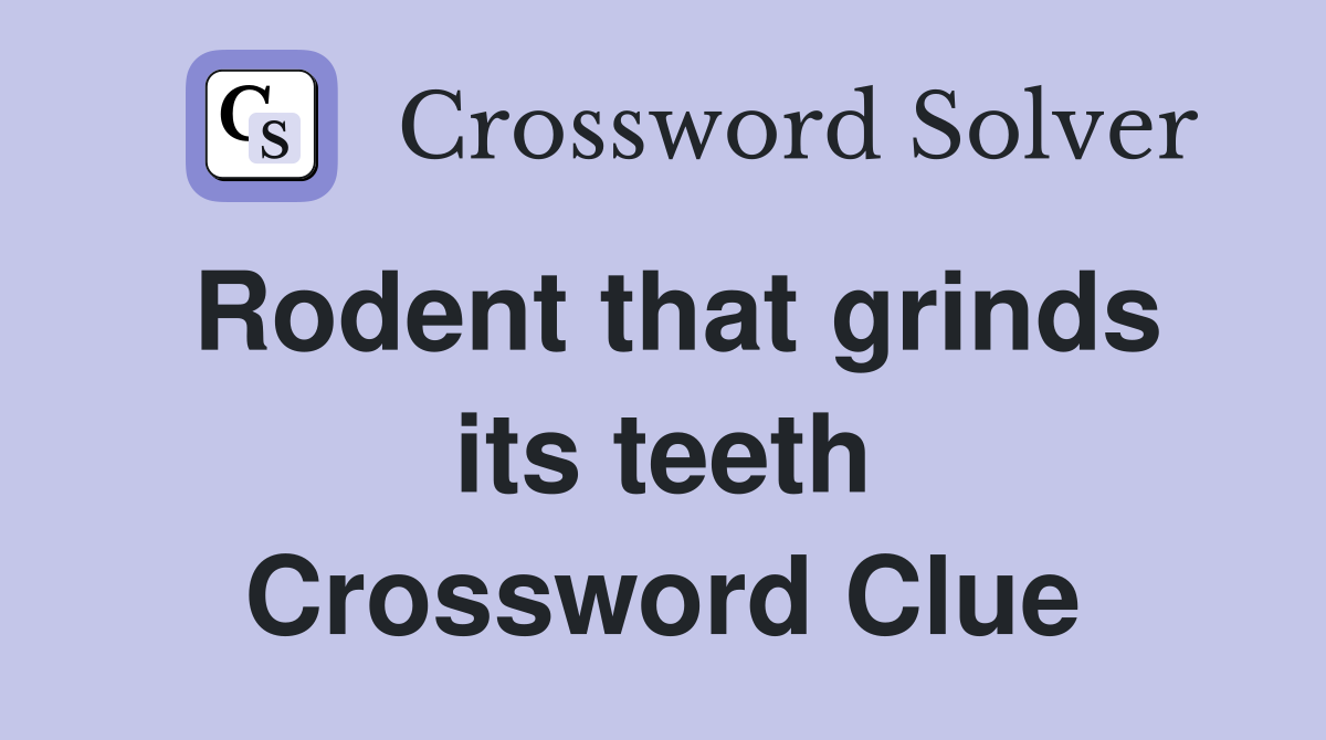 Rodent that grinds its teeth Crossword Clue
