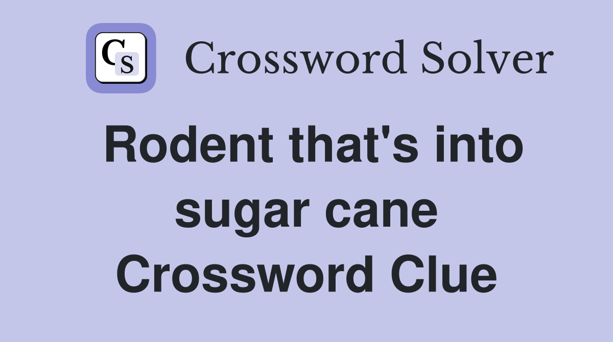 Rodent that's into sugar cane Crossword Clue