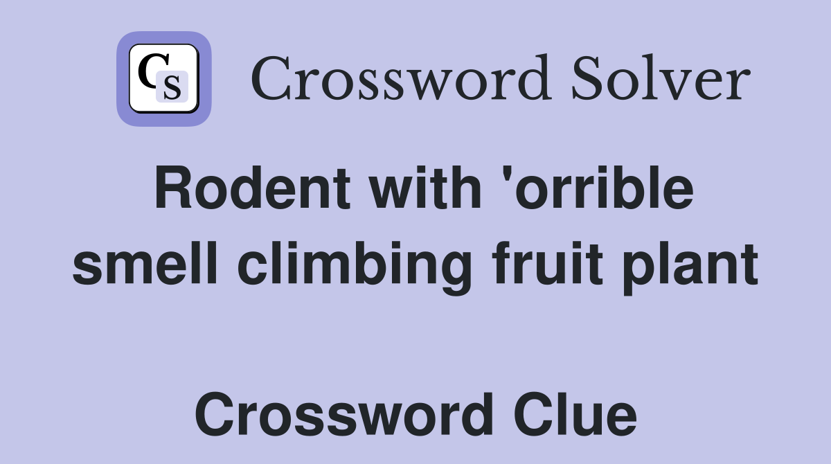 Rodent with 'orrible smell climbing fruit plant  Crossword Clue