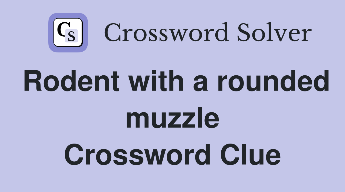 Rodent with a rounded muzzle Crossword Clue