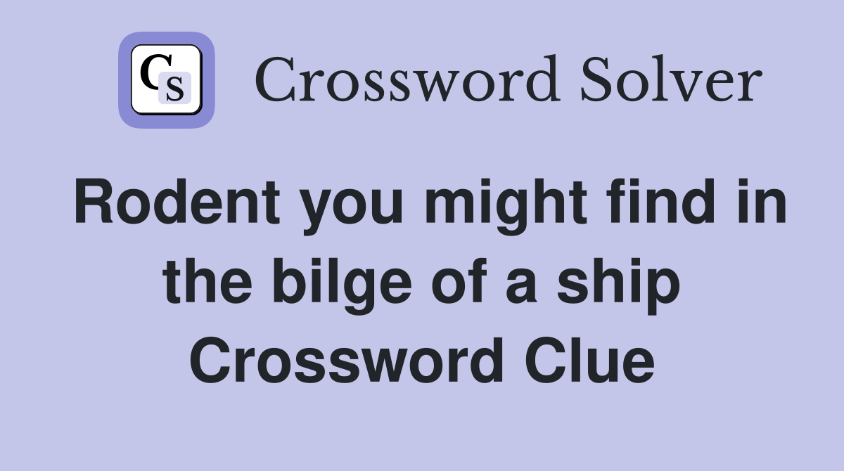 Rodent you might find in the bilge of a ship Crossword Clue