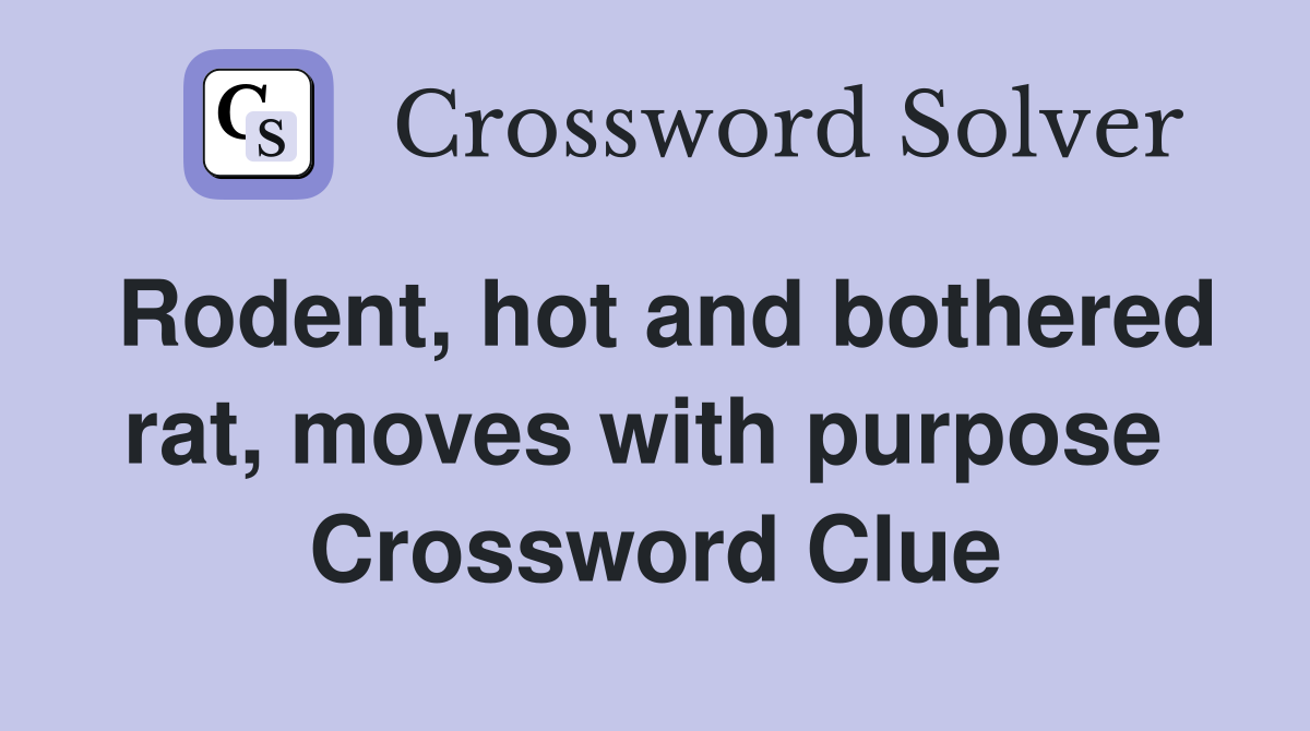 Rodent, hot and bothered rat, moves with purpose  Crossword Clue
