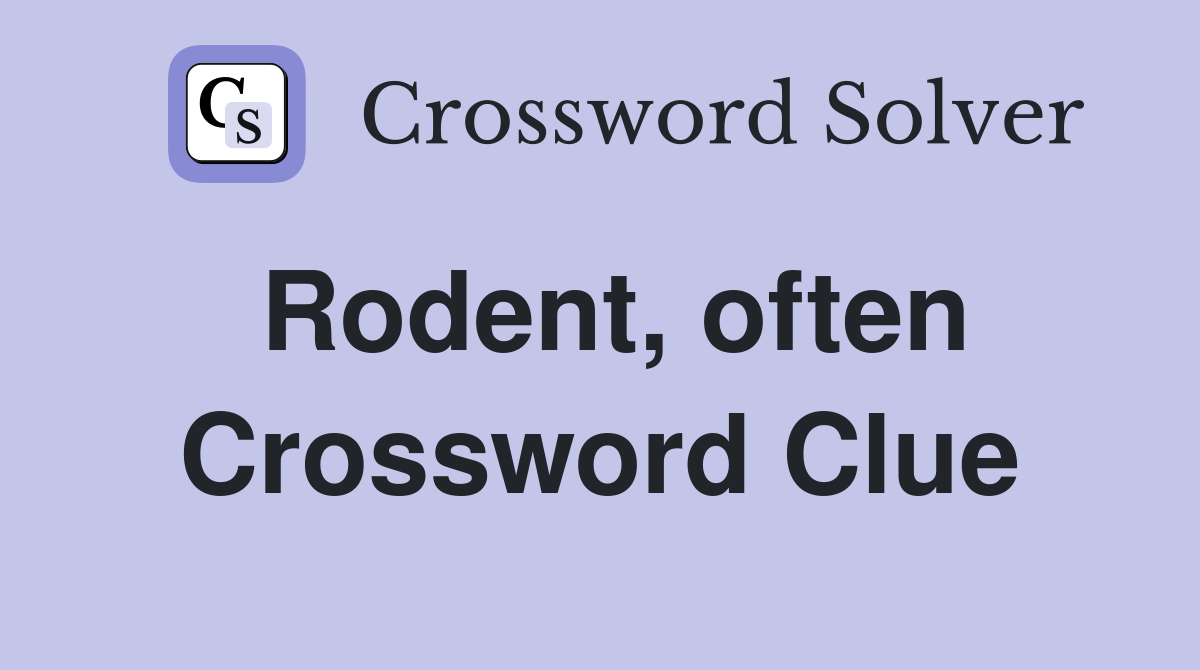 Rodent, often Crossword Clue
