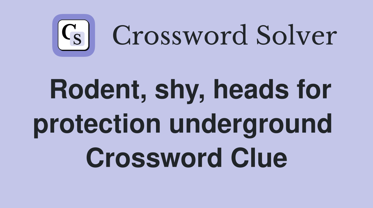 Rodent, shy, heads for protection underground  Crossword Clue
