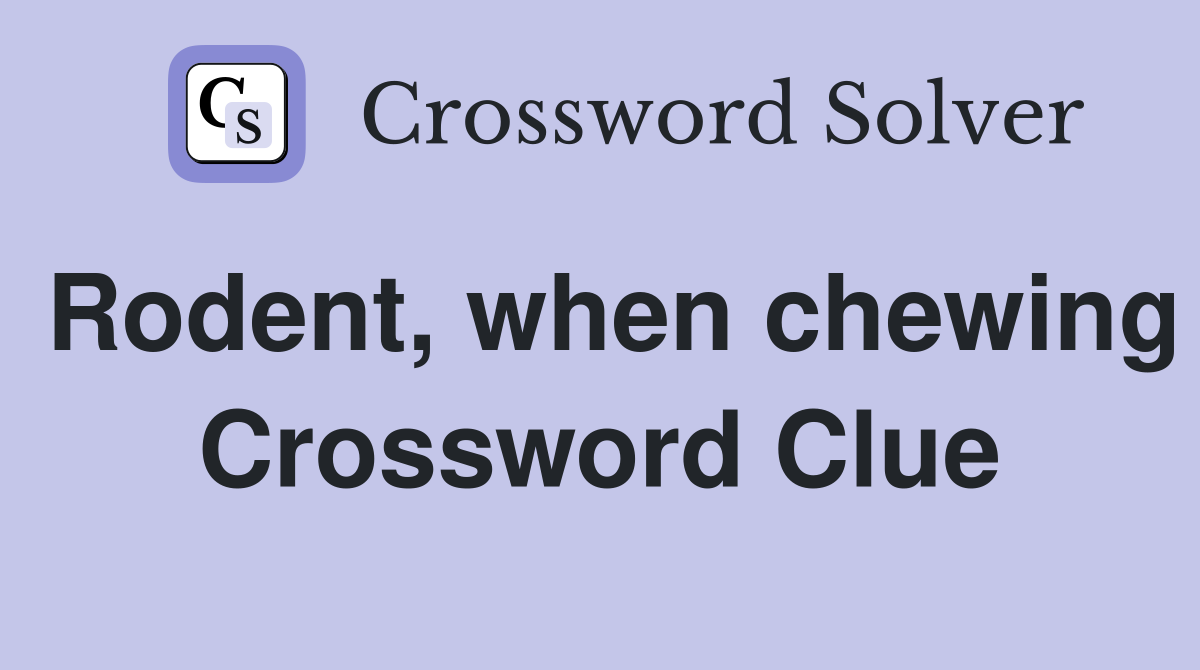 Rodent, when chewing Crossword Clue