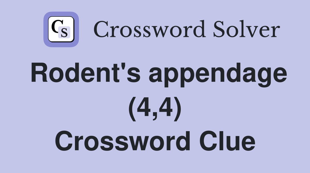 Rodent's appendage (4,4) Crossword Clue
