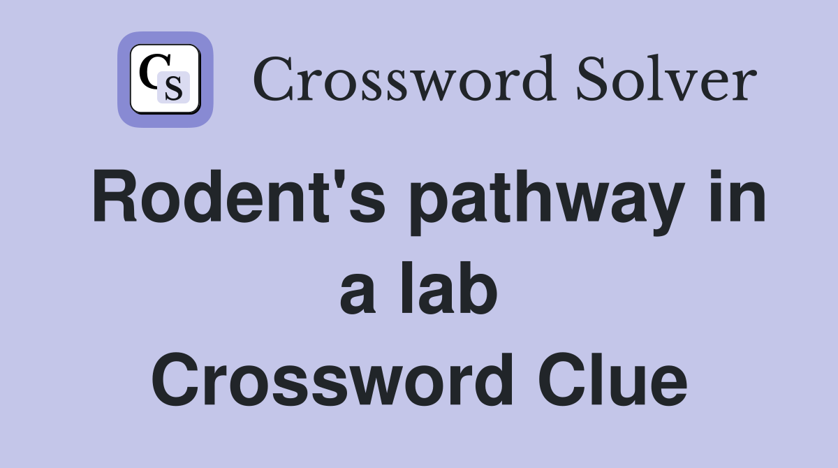 Rodent's pathway in a lab Crossword Clue
