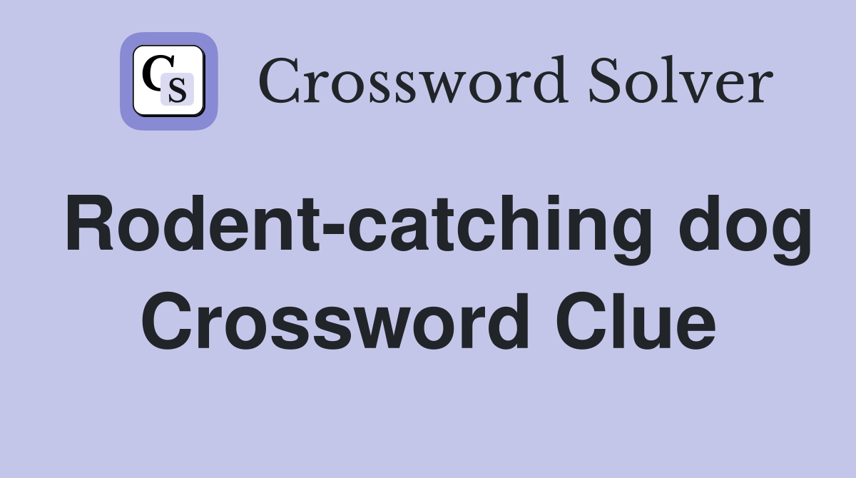 Rodent-catching dog Crossword Clue