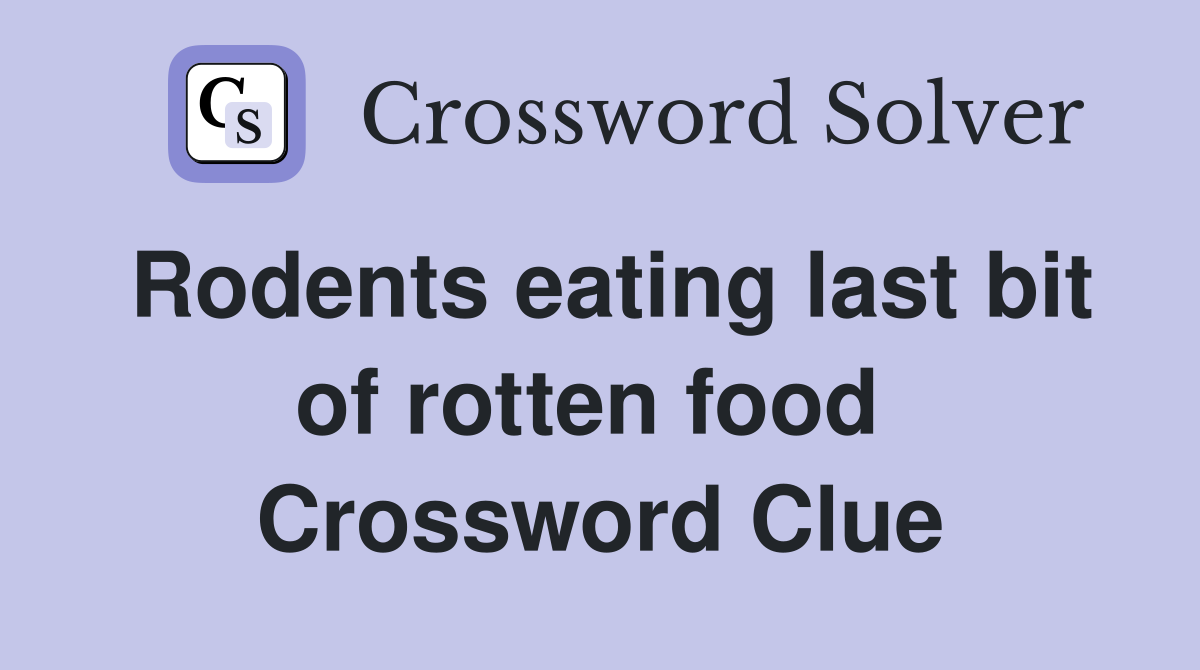 Rodents eating last bit of rotten food  Crossword Clue