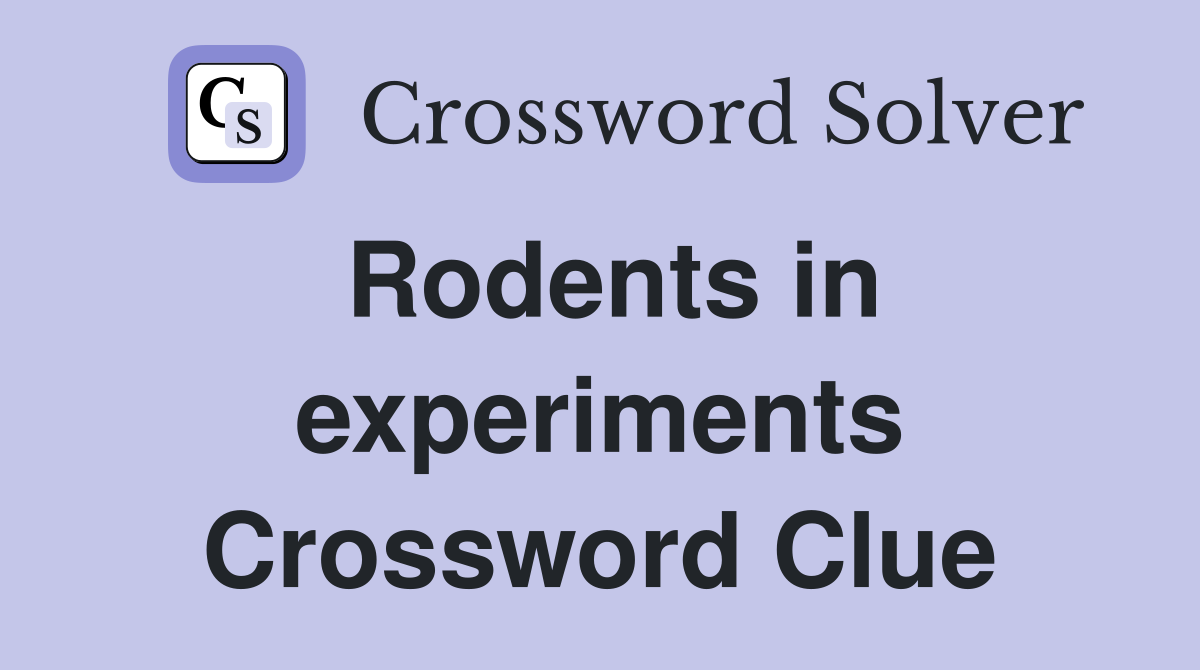 Rodents in experiments Crossword Clue