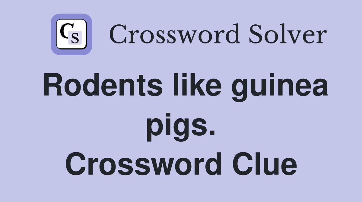Rodents like guinea pigs. Crossword Clue