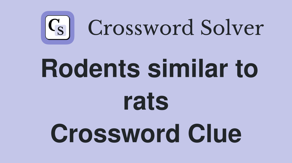 Rodents similar to rats Crossword Clue