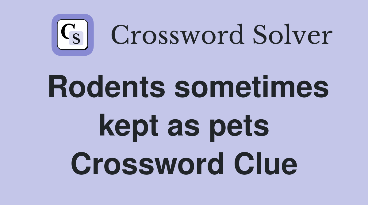 Rodents sometimes kept as pets Crossword Clue