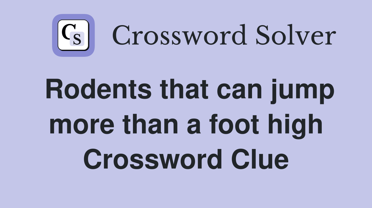 Rodents that can jump more than a foot high Crossword Clue