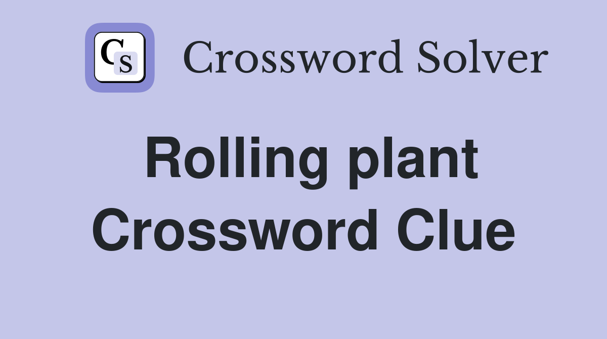 Rolling plant Crossword Clue