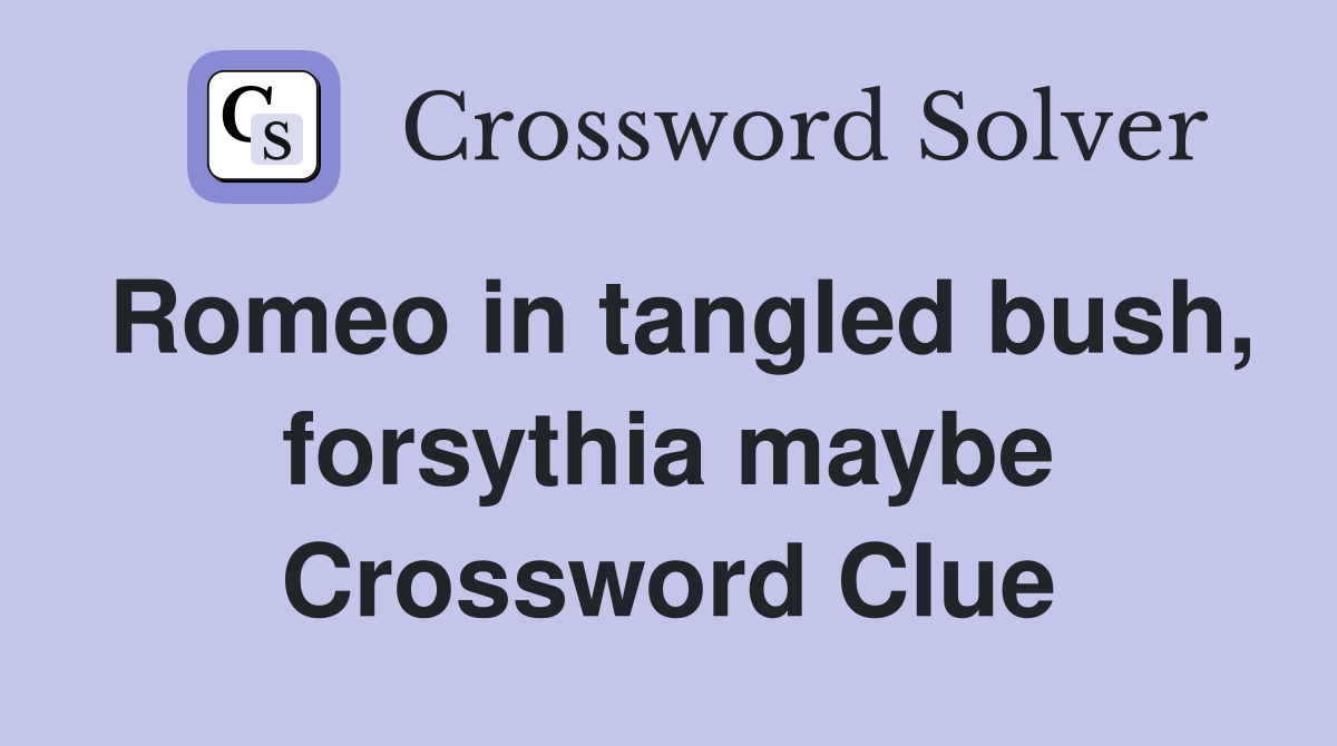 Romeo in tangled bush, forsythia maybe Crossword Clue