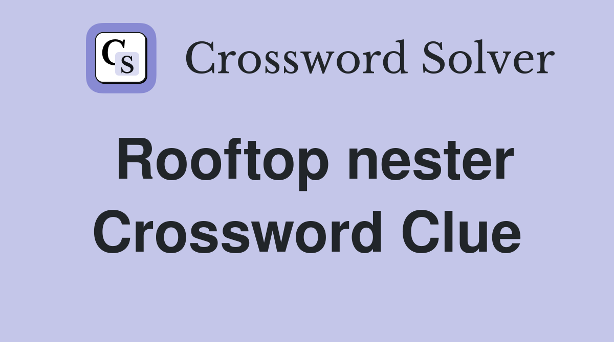 Rooftop nester Crossword Clue