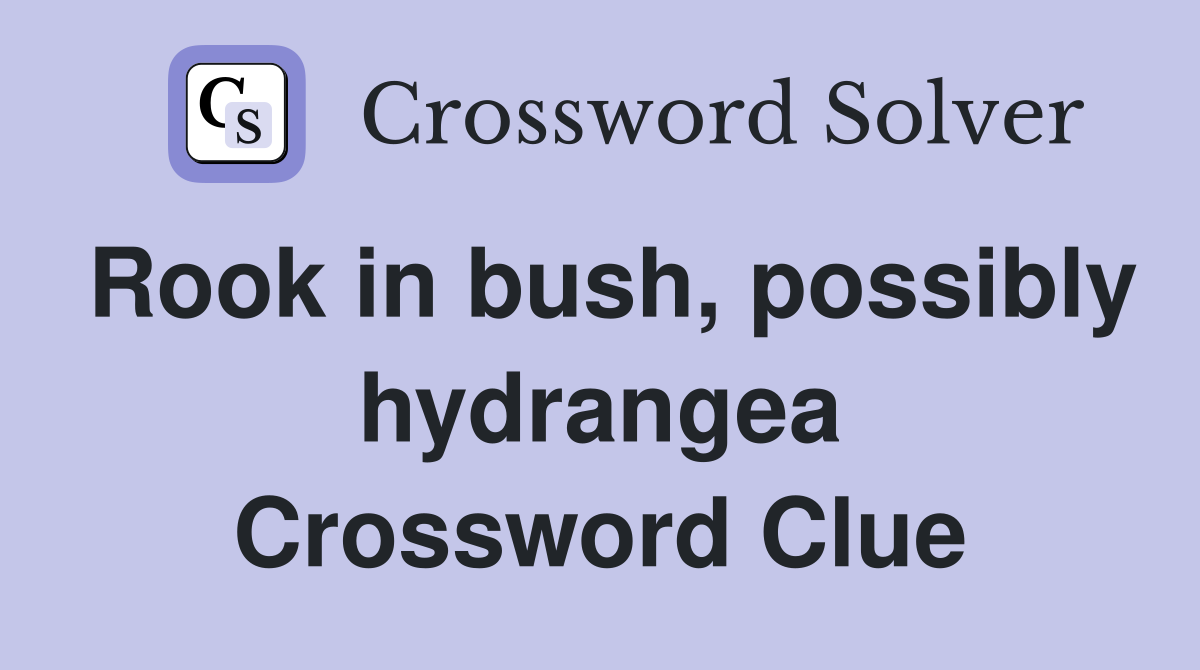 Rook in bush, possibly hydrangea Crossword Clue