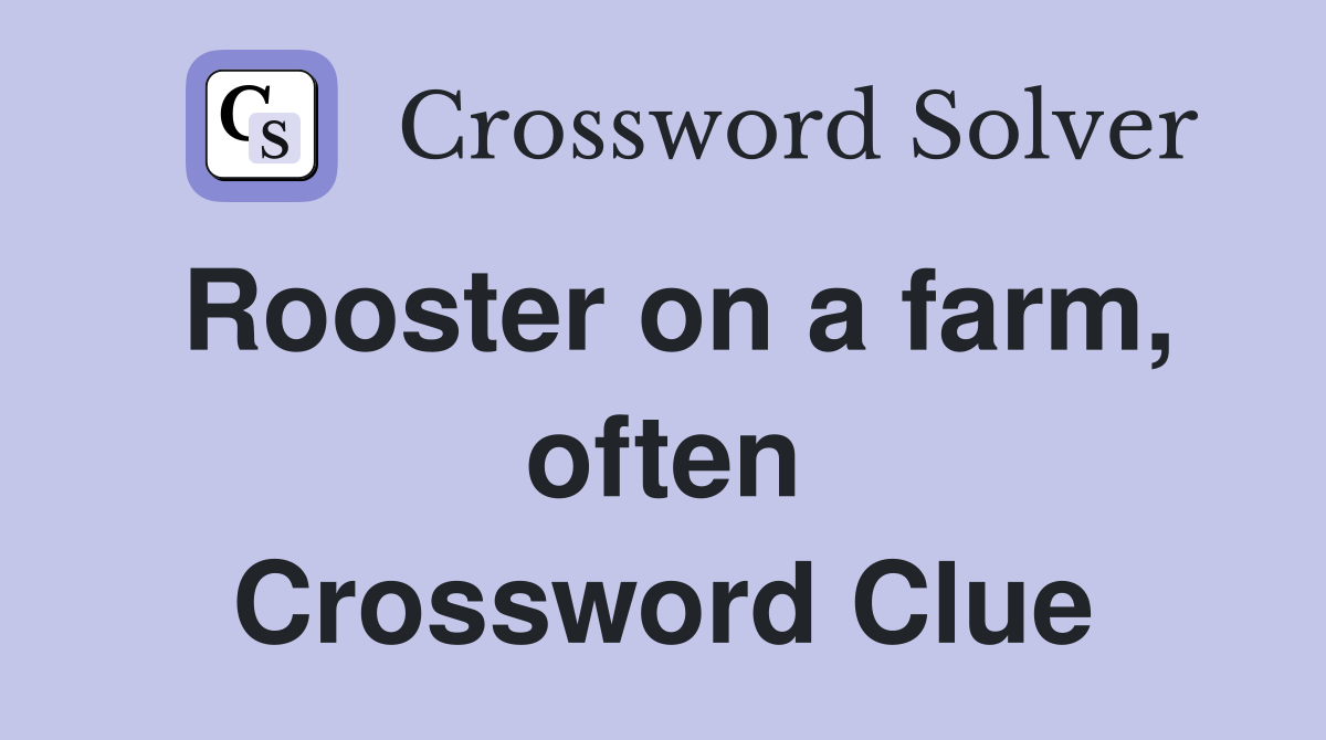 Rooster on a farm, often Crossword Clue