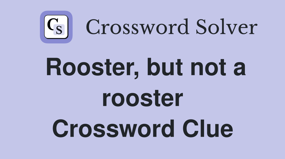 Rooster, but not a rooster Crossword Clue