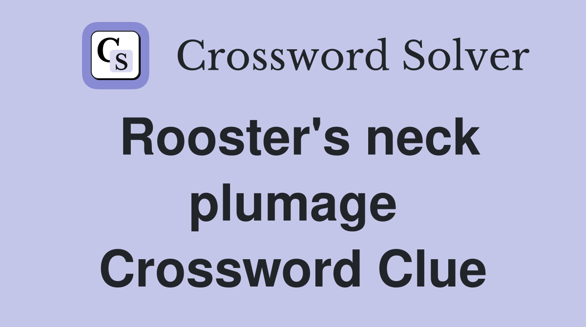 Rooster's neck plumage Crossword Clue