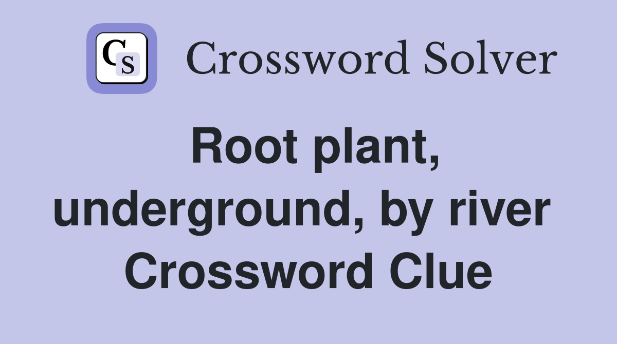 Root plant, underground, by river  Crossword Clue