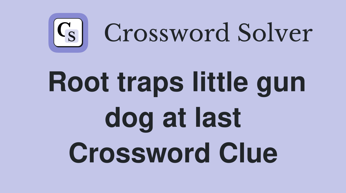 Root traps little gun dog at last Crossword Clue