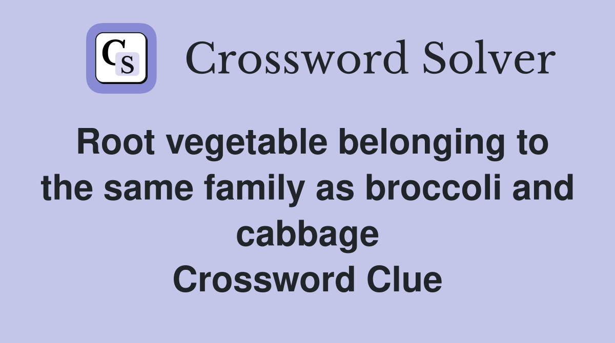 Root vegetable belonging to the same family as broccoli and cabbage Crossword Clue