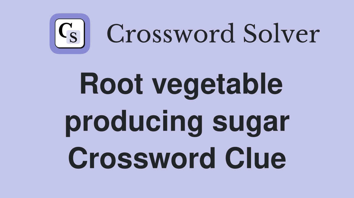 Root vegetable producing sugar Crossword Clue