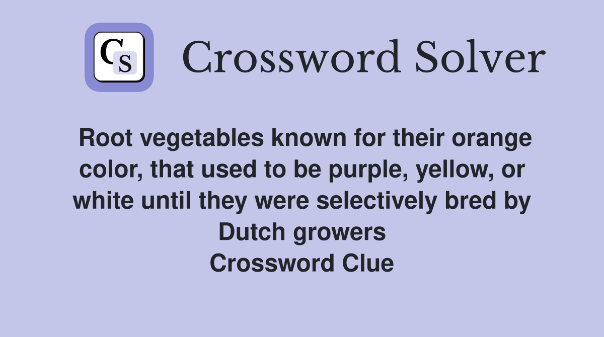 Root vegetables known for their orange color, that used to be purple, yellow, or white until they were selectively bred by Dutch growers Crossword Clue