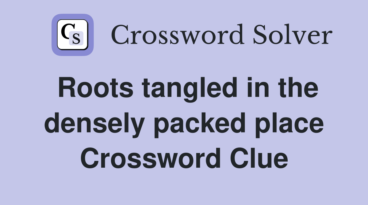 Roots tangled in the densely packed place Crossword Clue