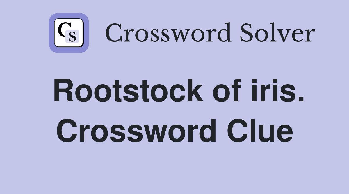 Rootstock of iris. Crossword Clue
