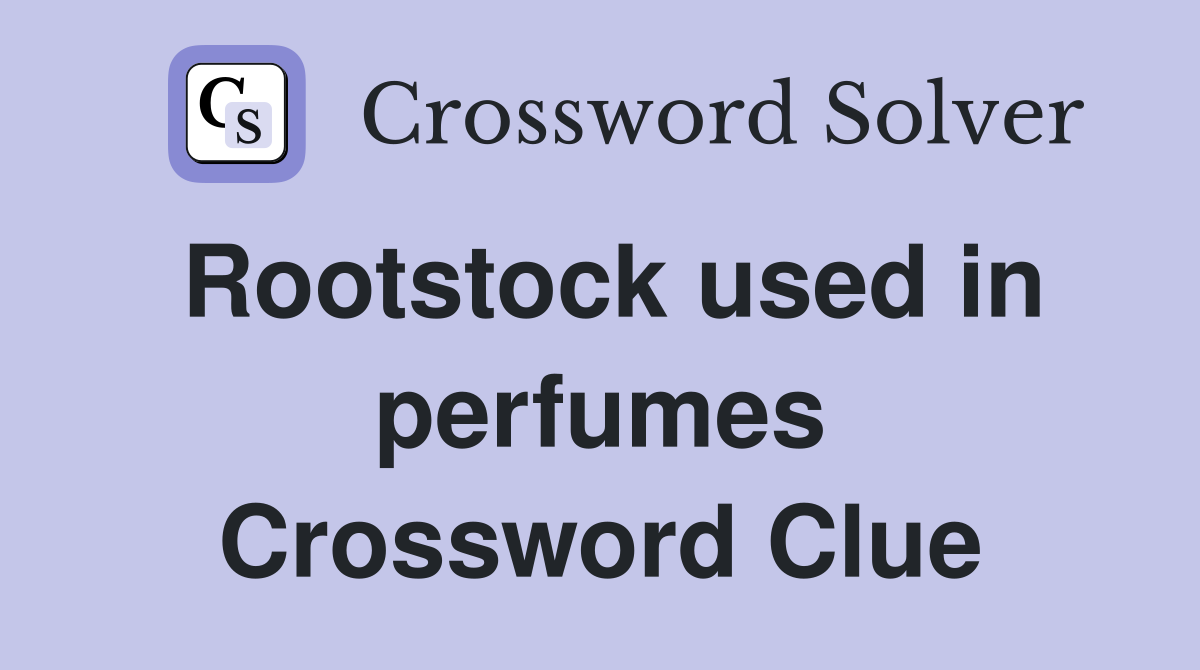 Rootstock used in perfumes Crossword Clue