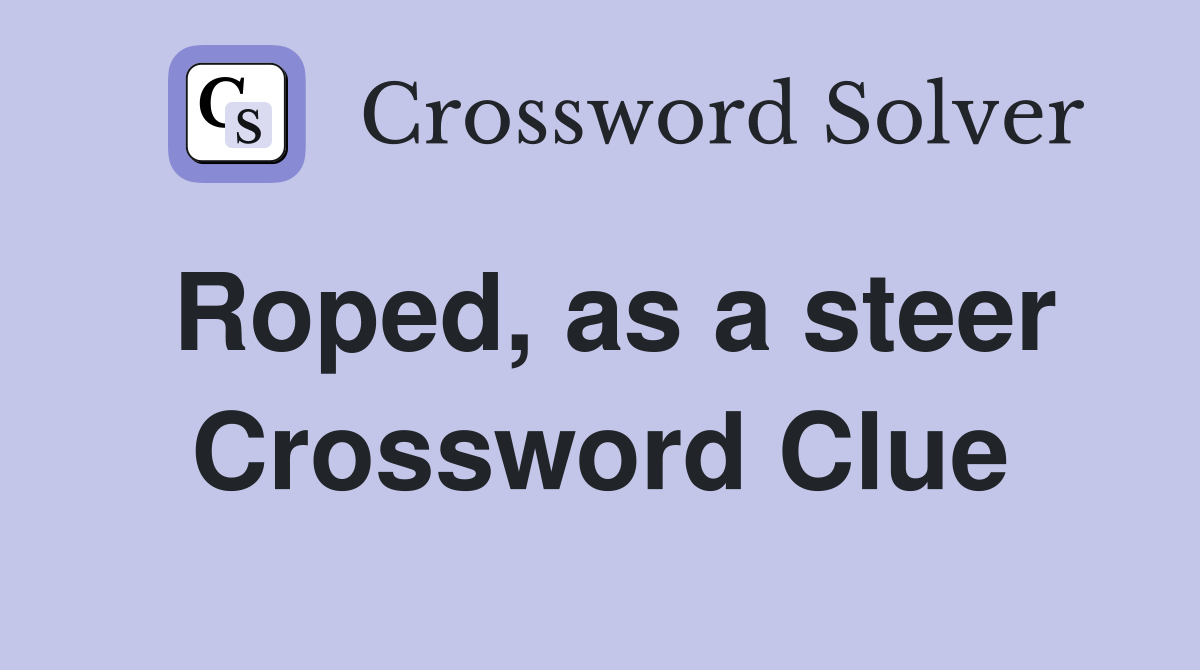 Roped, as a steer Crossword Clue