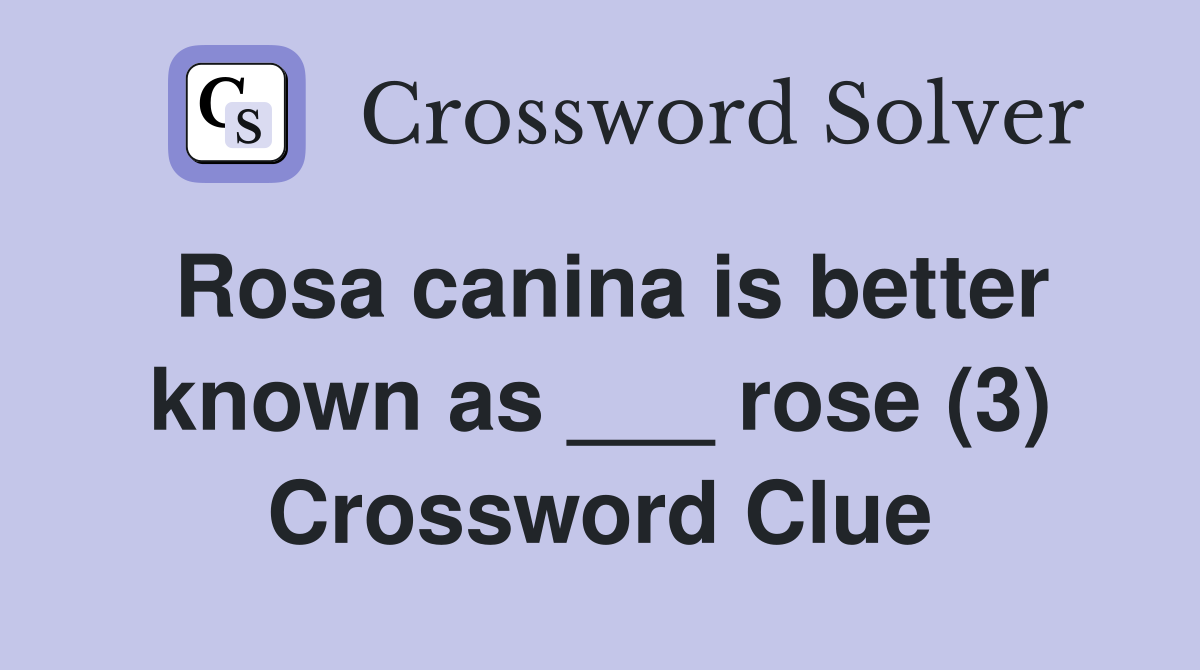 Rosa canina is better known as ___ rose (3) Crossword Clue