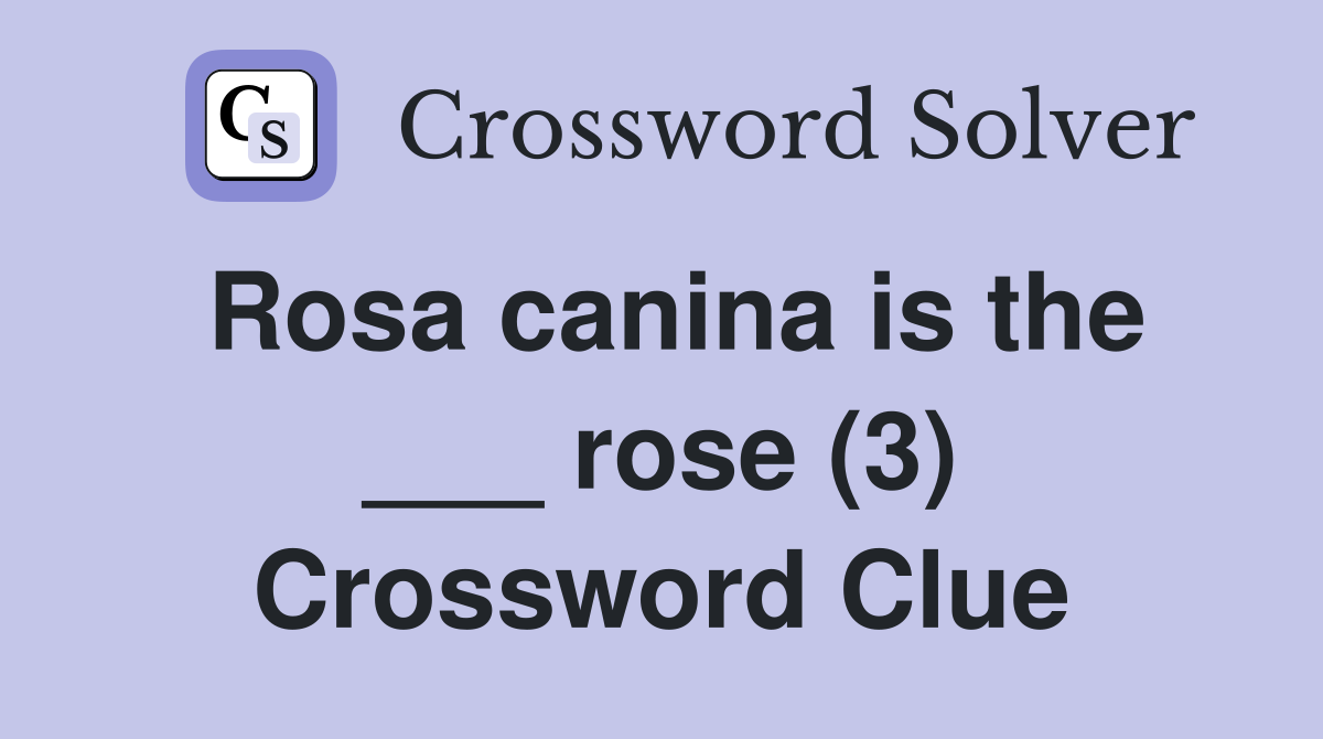 Rosa canina is the ___ rose (3) Crossword Clue